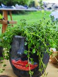 Cache pot visage noir
