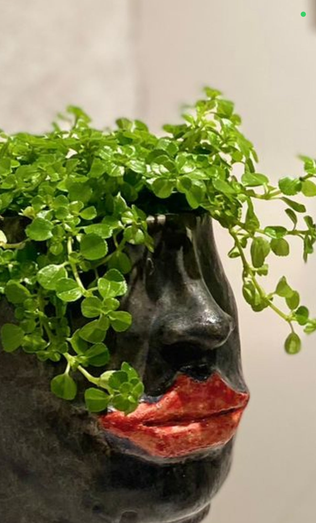 Cache pot visage noir