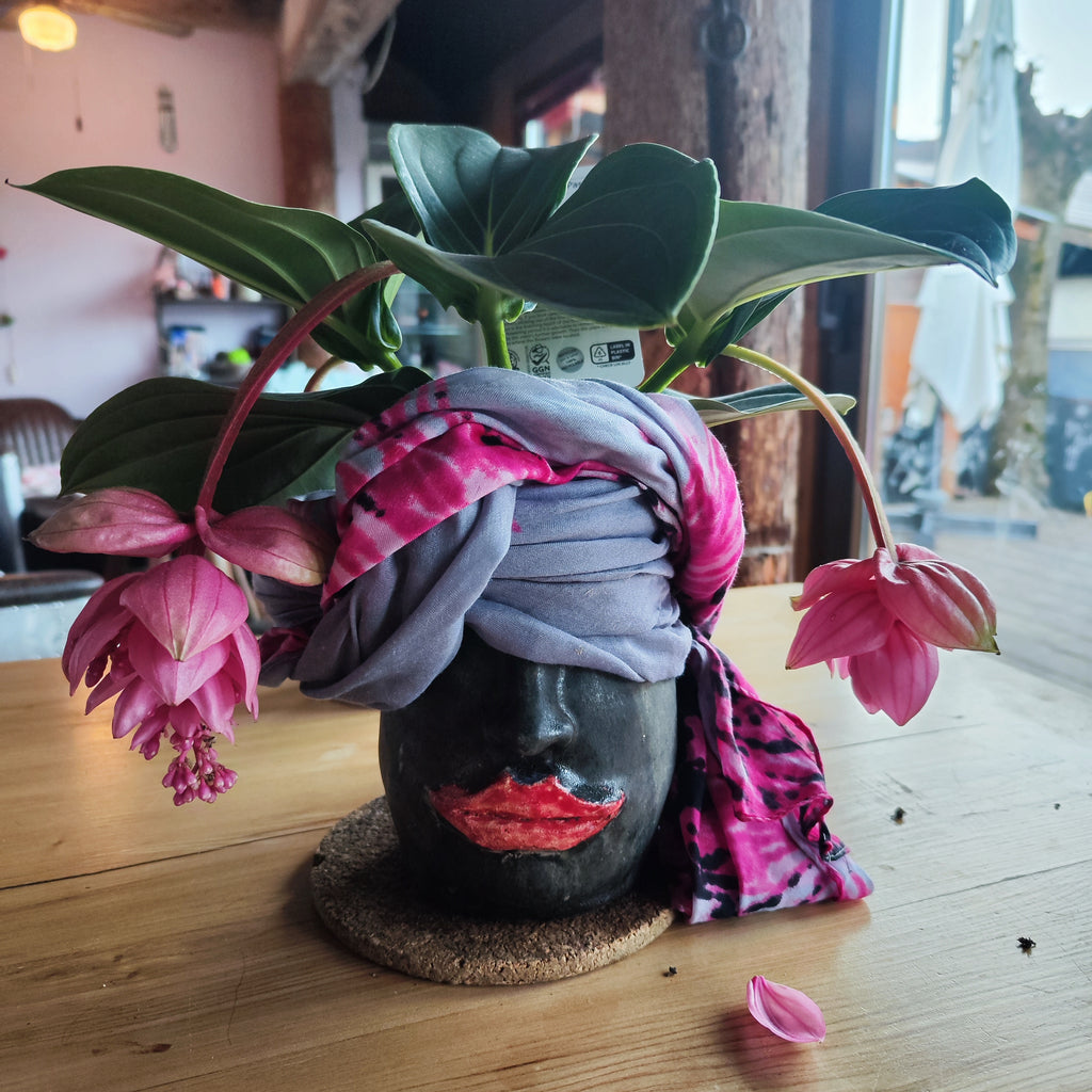 Cache pot visage noir