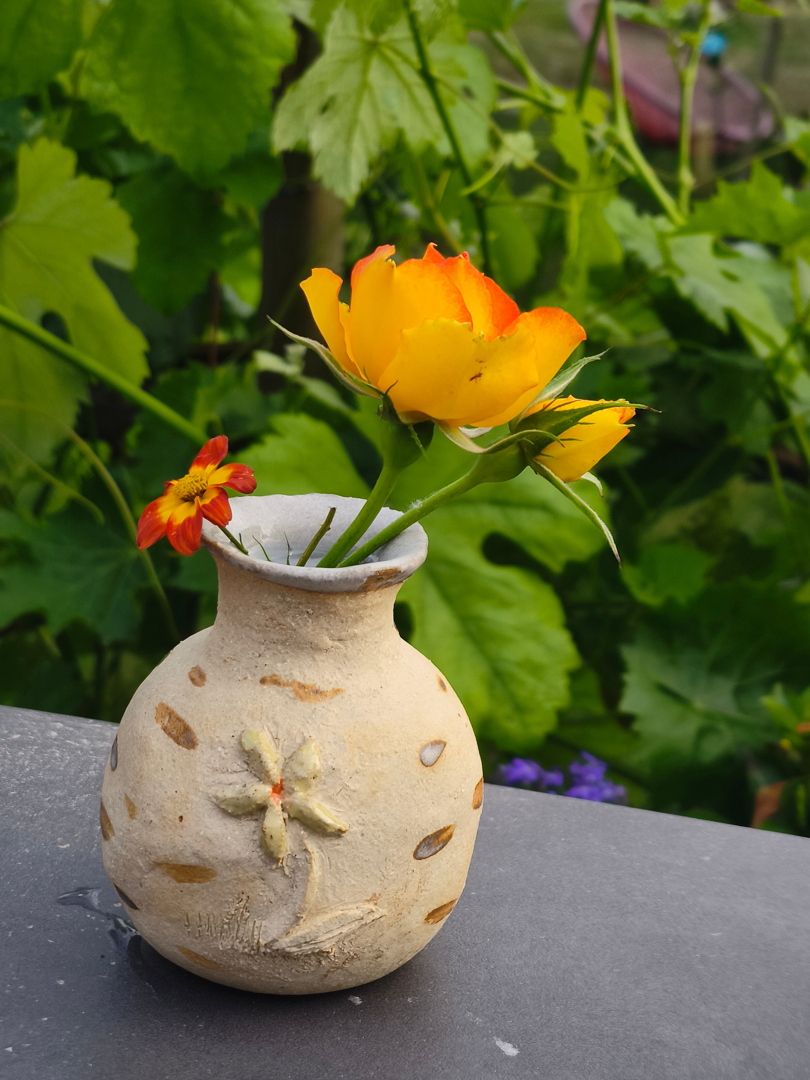 "La fleur des Prés"